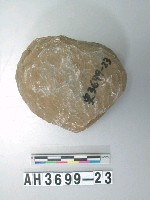 藏品(石核)的圖片